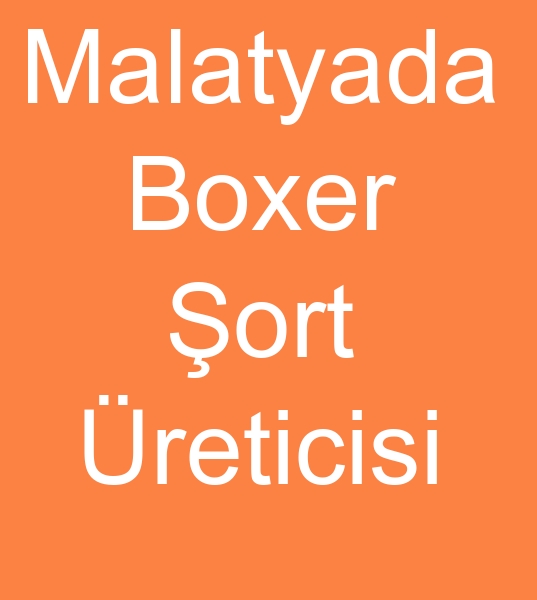 Boxer ort reticisi